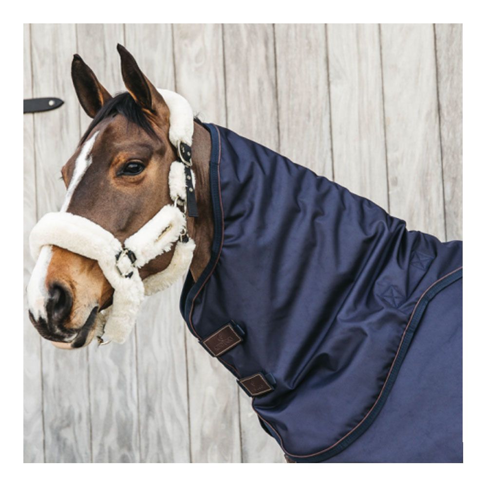 Kentucky ALL WEATHER WATERPROOF PRO 0G - Couvre-cou navy
