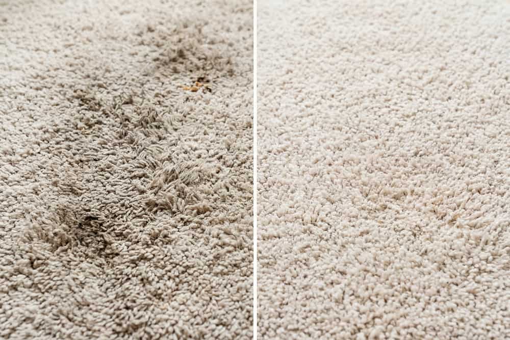Teppichreiniger OA CARPET CARE 500ml PFC und VOC frei Tiefenreiniger für Textilboden