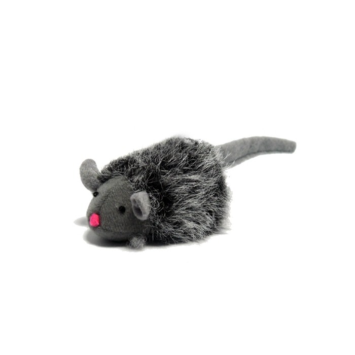 Souris couinante