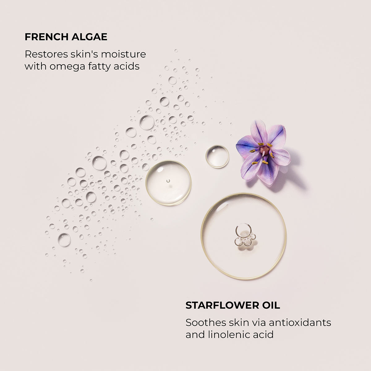 Serum Body cream Neroli Du Sud 200ml