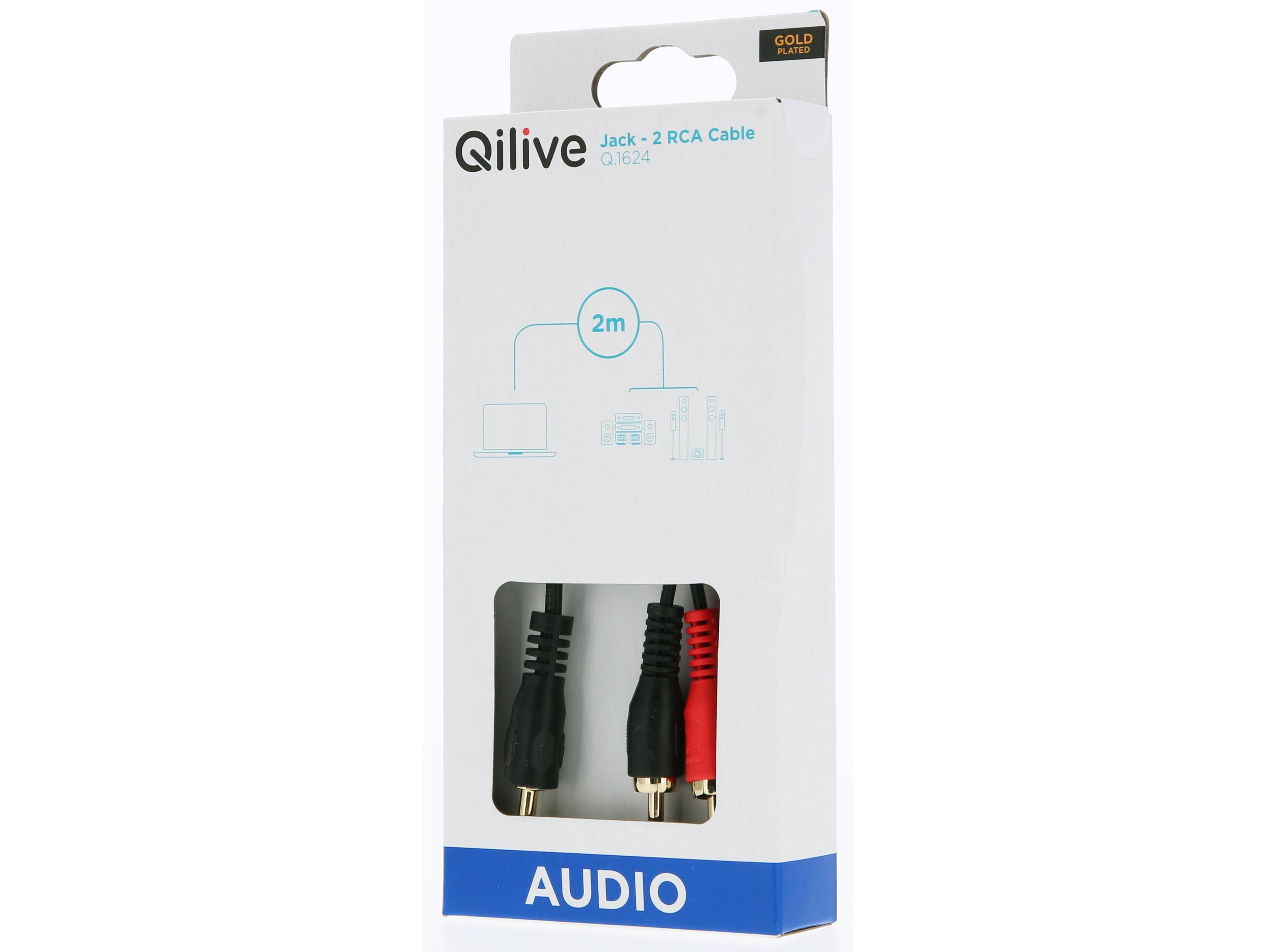 CABO QILIVE G4217929 2 RCA M-JACK 35MM 2MT