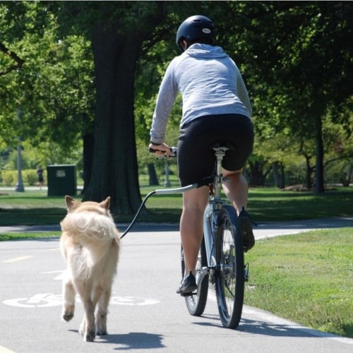 Barra universal para cães Cycleash para bicicletas, multicolorida