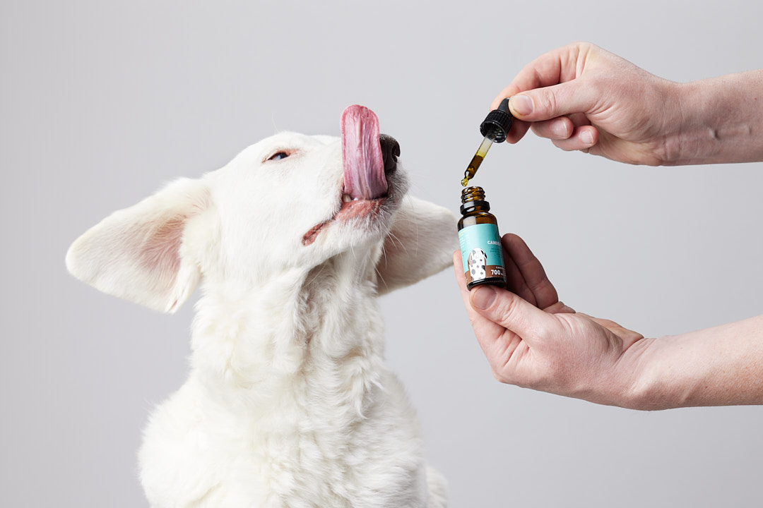 Óleo de petidibidiol para cães de porte médio 700 mg