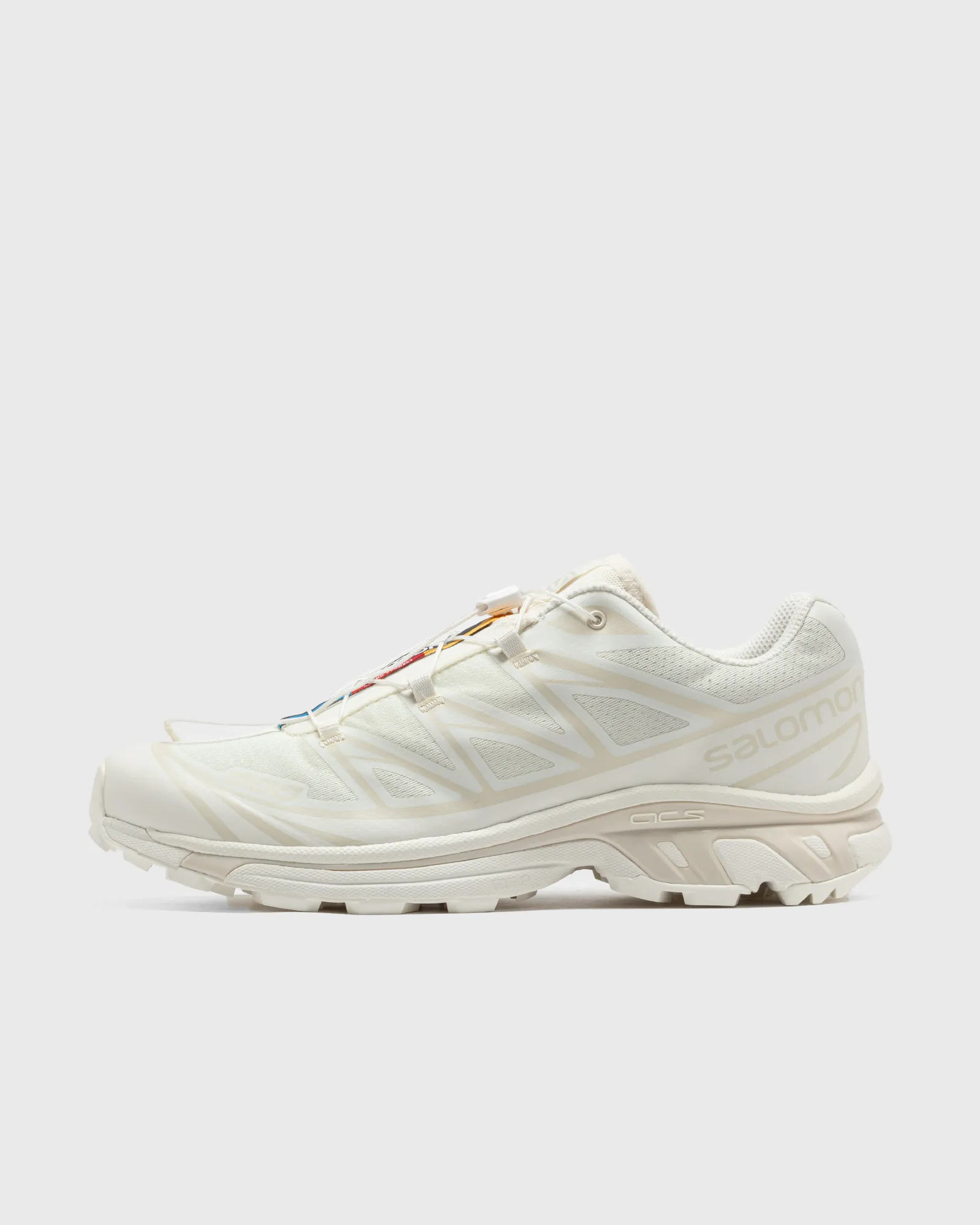 Salomon XT-6