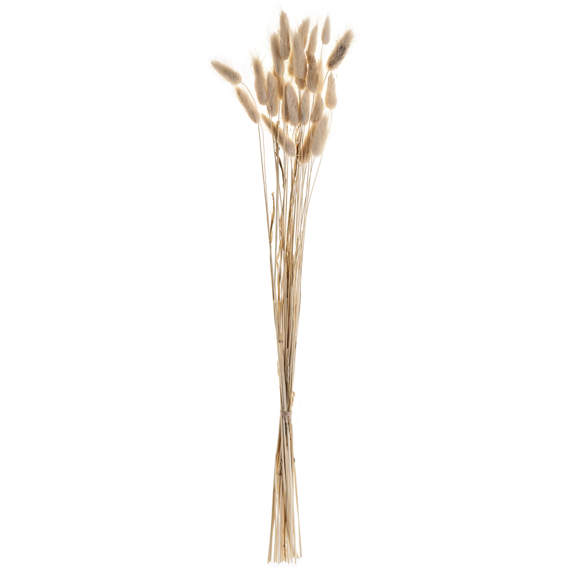 EGLO Trockenblume, 60 cm, beige
