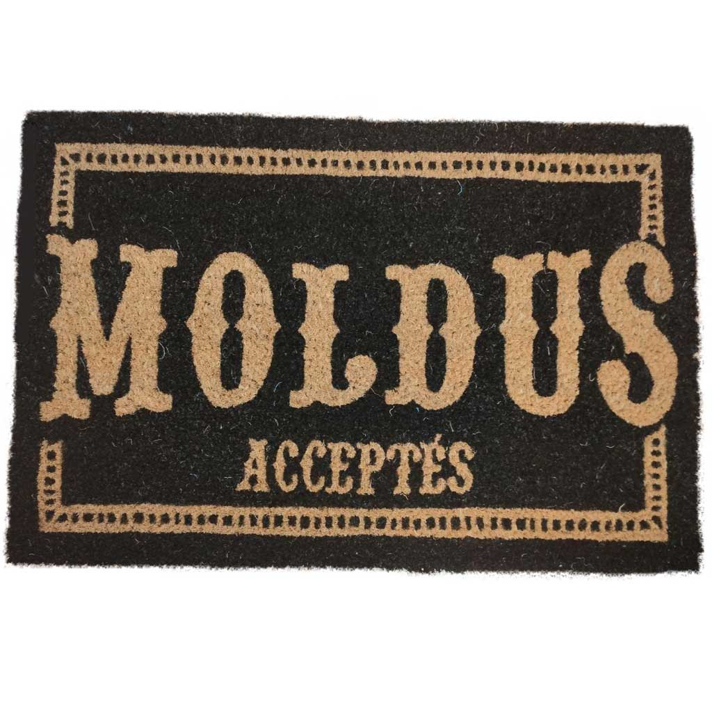 Harry Potter - Paillasson Moldus Acceptés