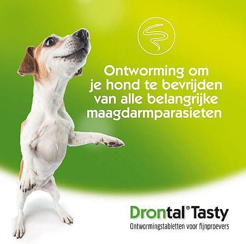 Drontal - Dog Tatsty - Wormenkuur - Tabletten - 1 Tablet