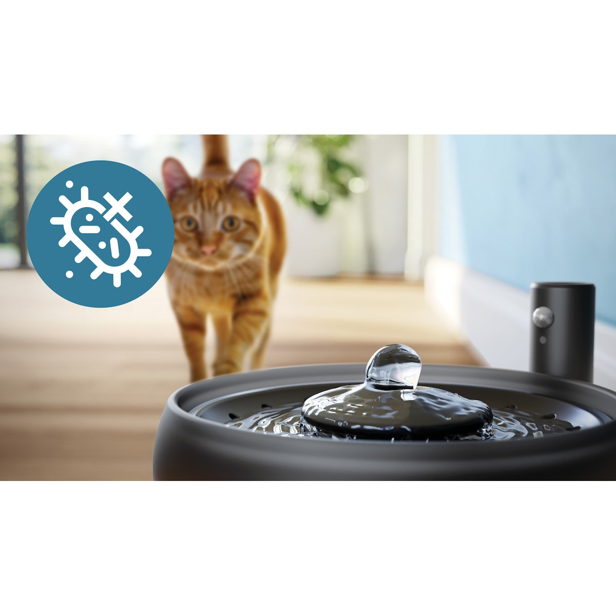 Philips Pet Series vannfontene PAW3210/02 (sort)