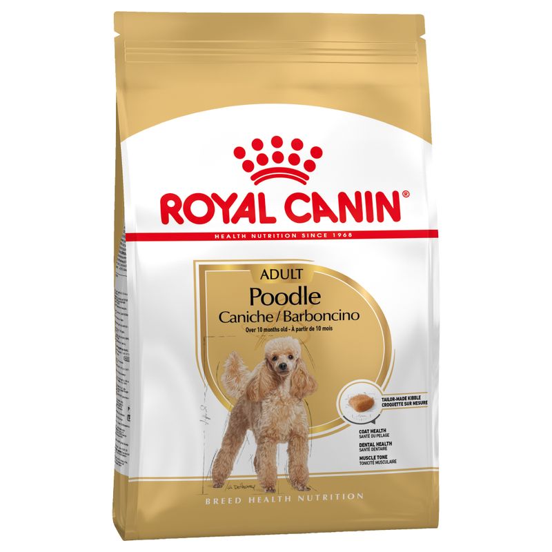 Royal Canin Caniche Adult