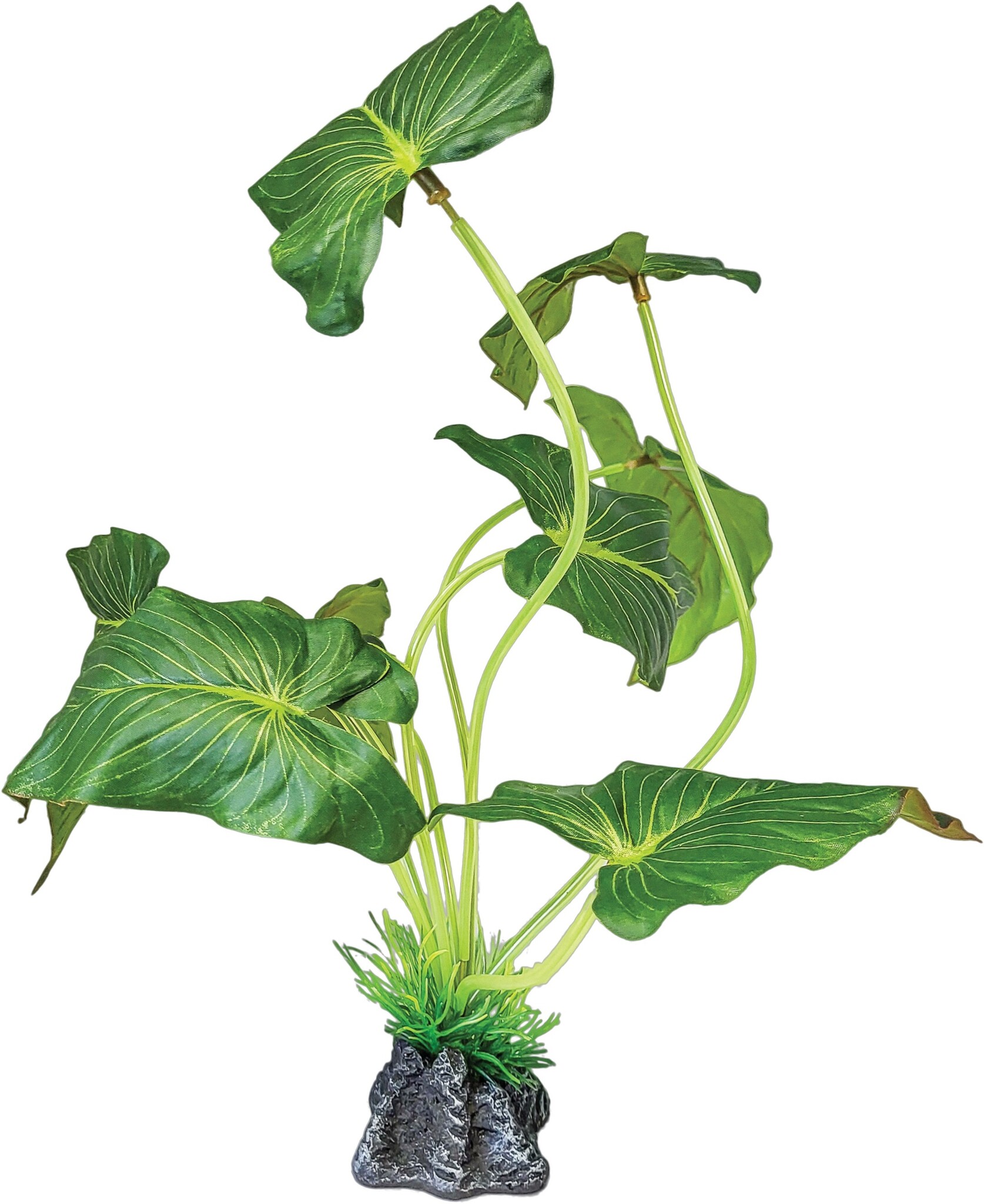Repto Terrarium Kunstplant Elephant Ear