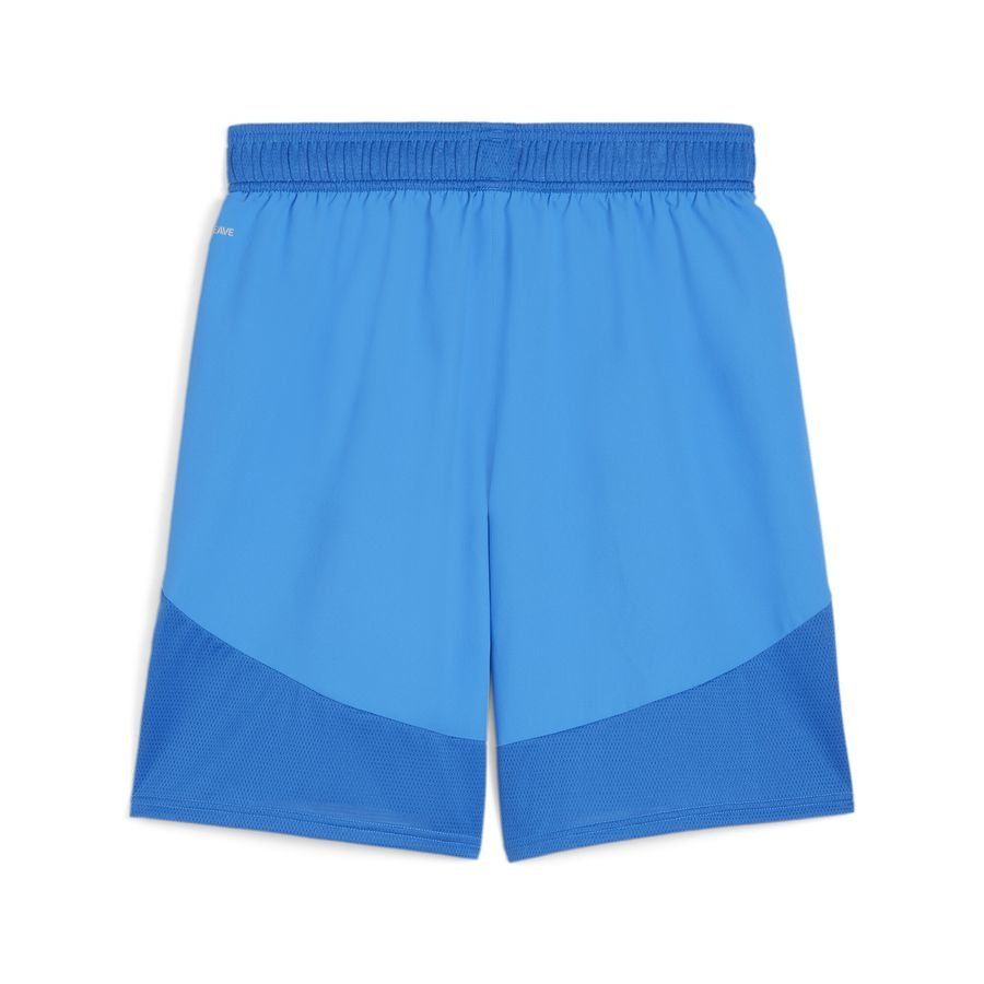 PUMA Short teamFINAL - Bleu/Blanc