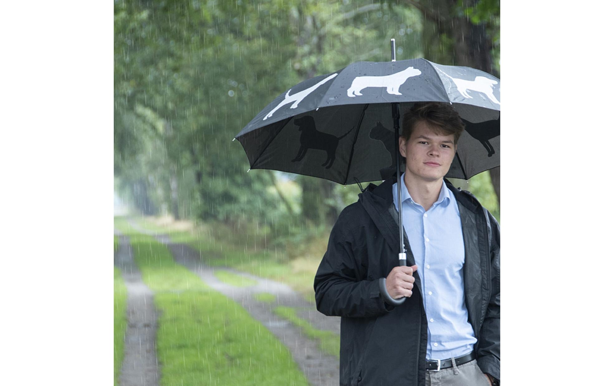 Schirm Reflektor Hunde Grau/SchwarzReflektierender Regenschirm