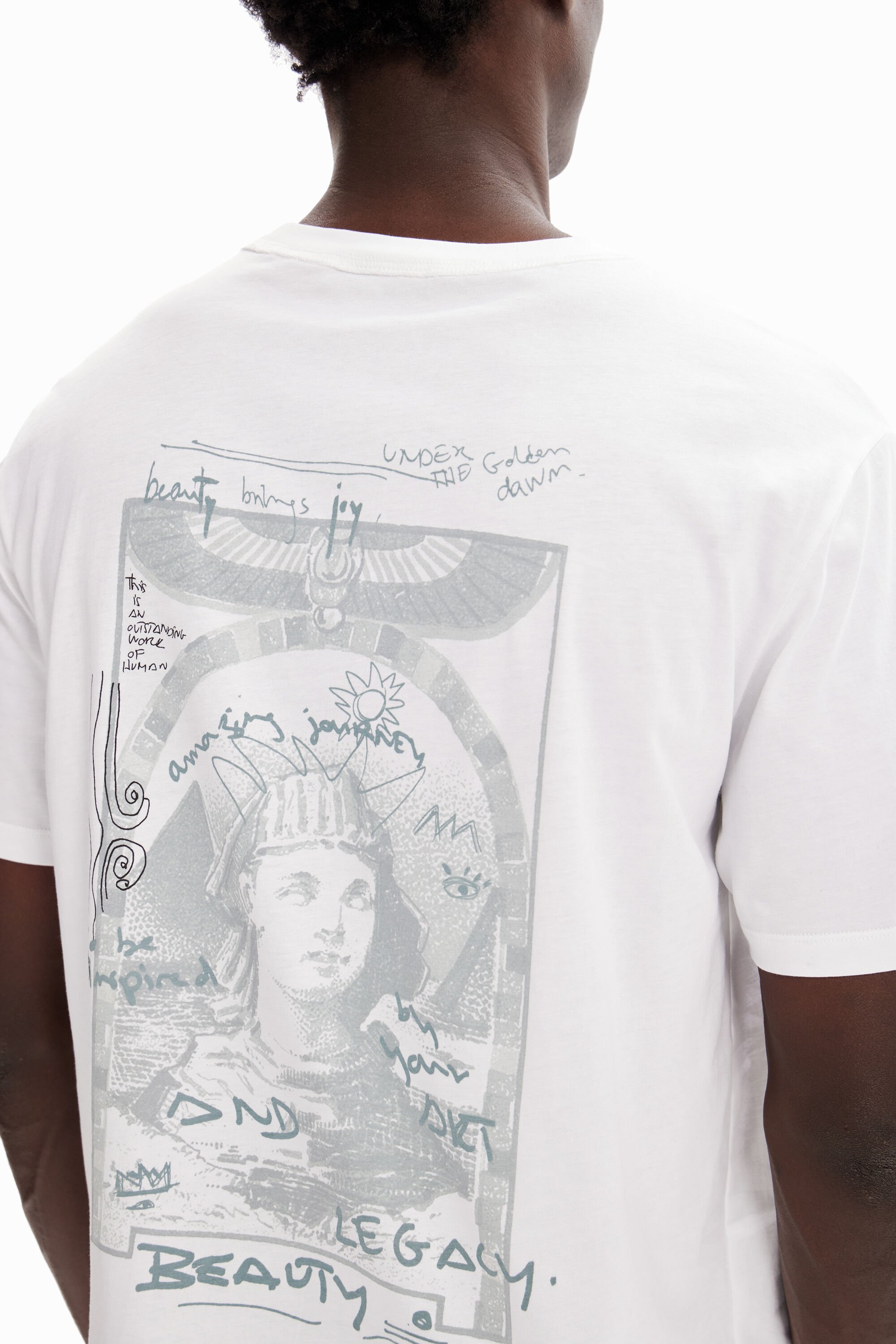 T-shirt patchs sphynx