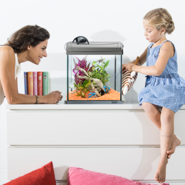 Pompe à air Tetra pour aquarium