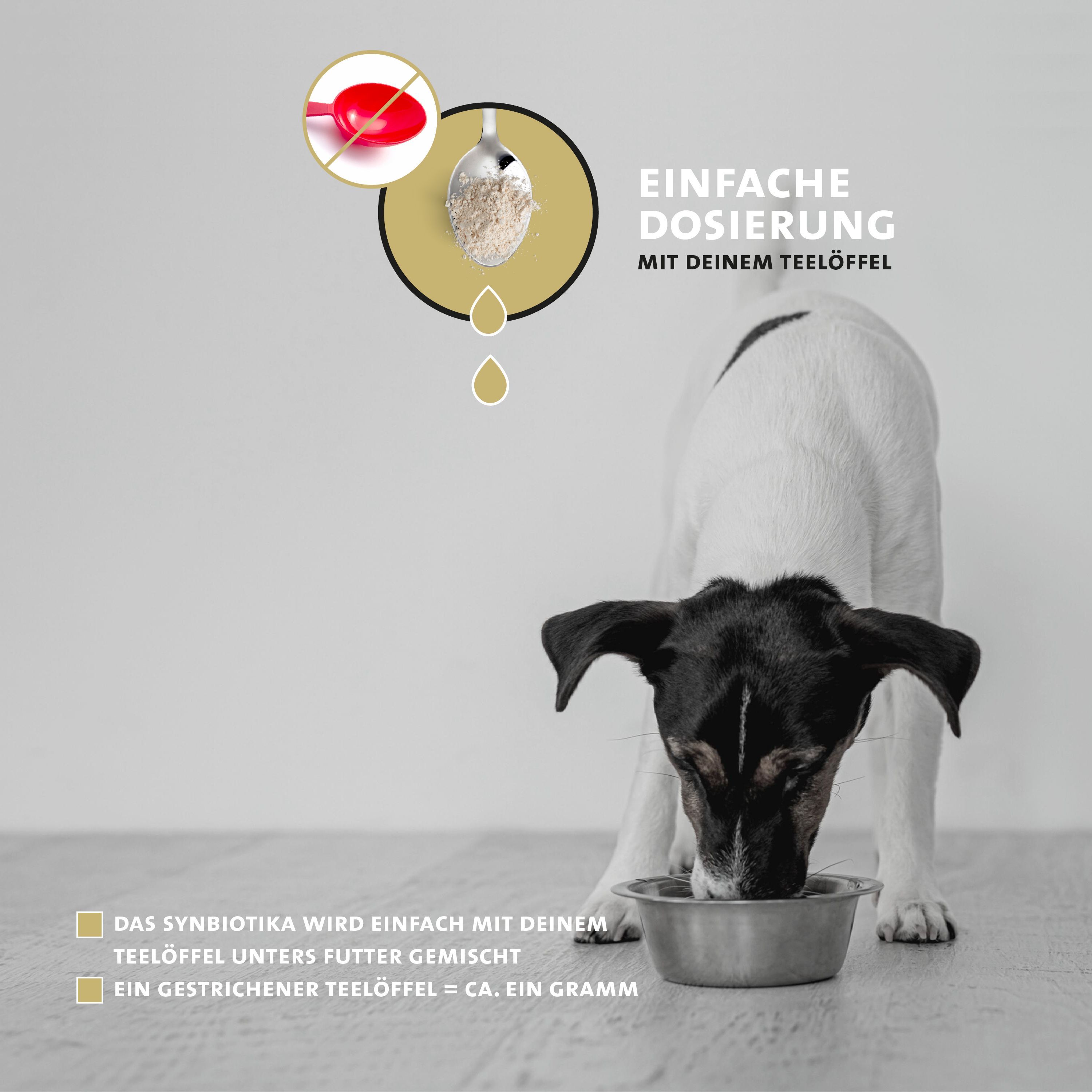 Peticare Probiotika & Präbiotika Pulver für Hunde, Darm-Sanierung, Darmflora