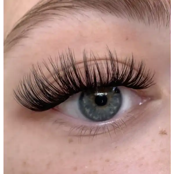 Boss Babe - Mini Box Wimpern