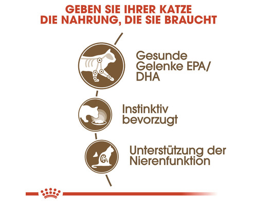 ROYAL CANIN FHN Ageing +12 natvoer voor katten, 85 g