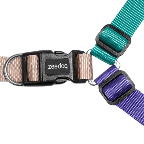 Coleira Zee.dog SOFT-WALK BOOGIE tamanho G