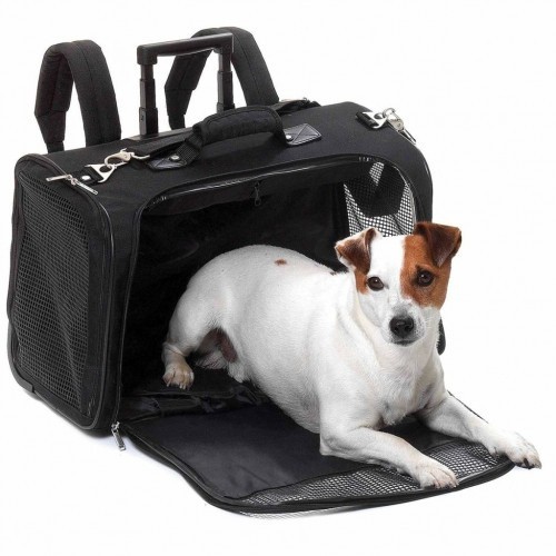 Carrinho inteligente para animais de estimação, preto