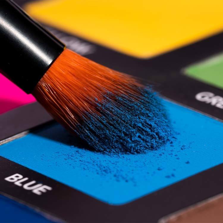 LH Cosmetics Color Palette 12g