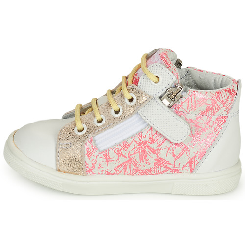 GBB - VALA - Rose