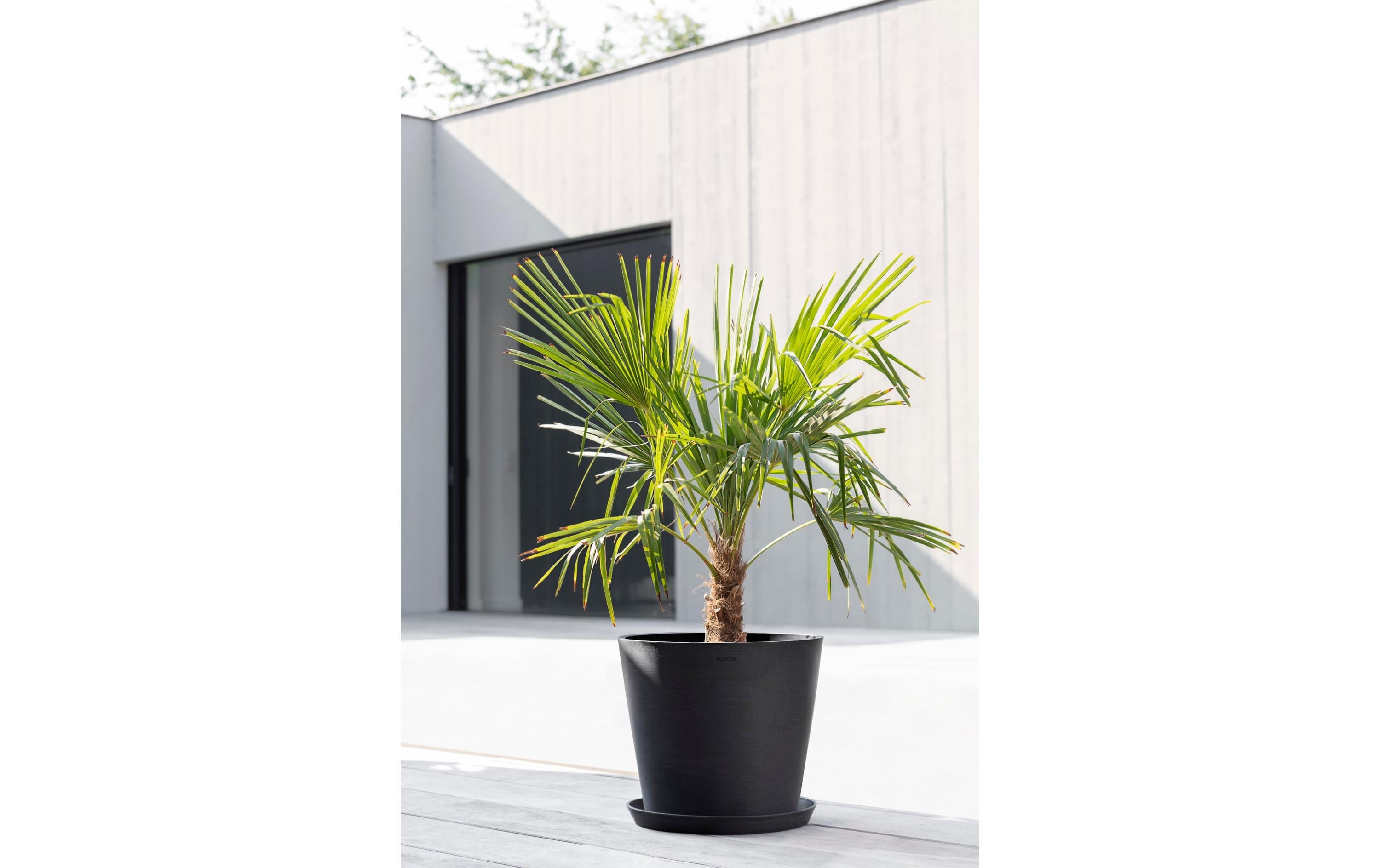 Pflanzentopf Amsterdam 40, DunkelgrauRobuster und langlebiger Blumentopf