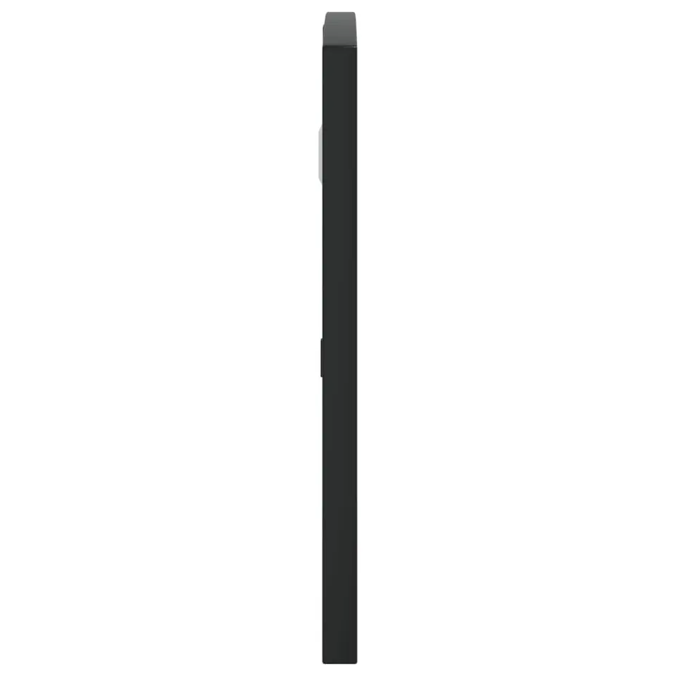 vidaXL - Wandspiegel - Zwart - IJzer - 60 x 30 cm