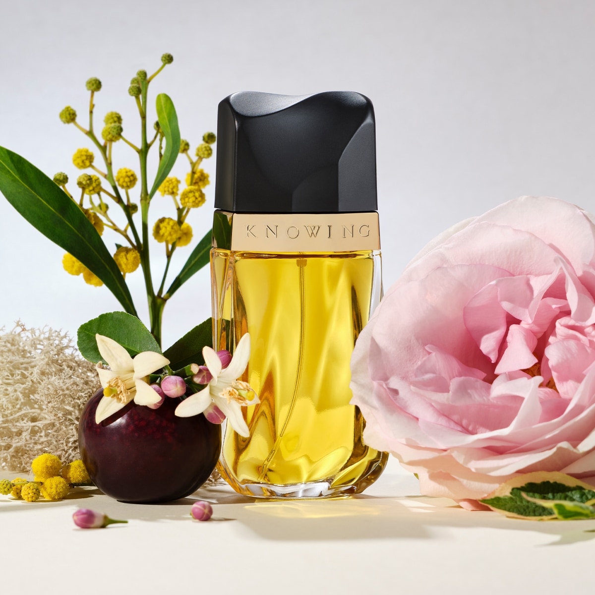 ESTEE LAUDER Knowing Coffret Eau de Parfum