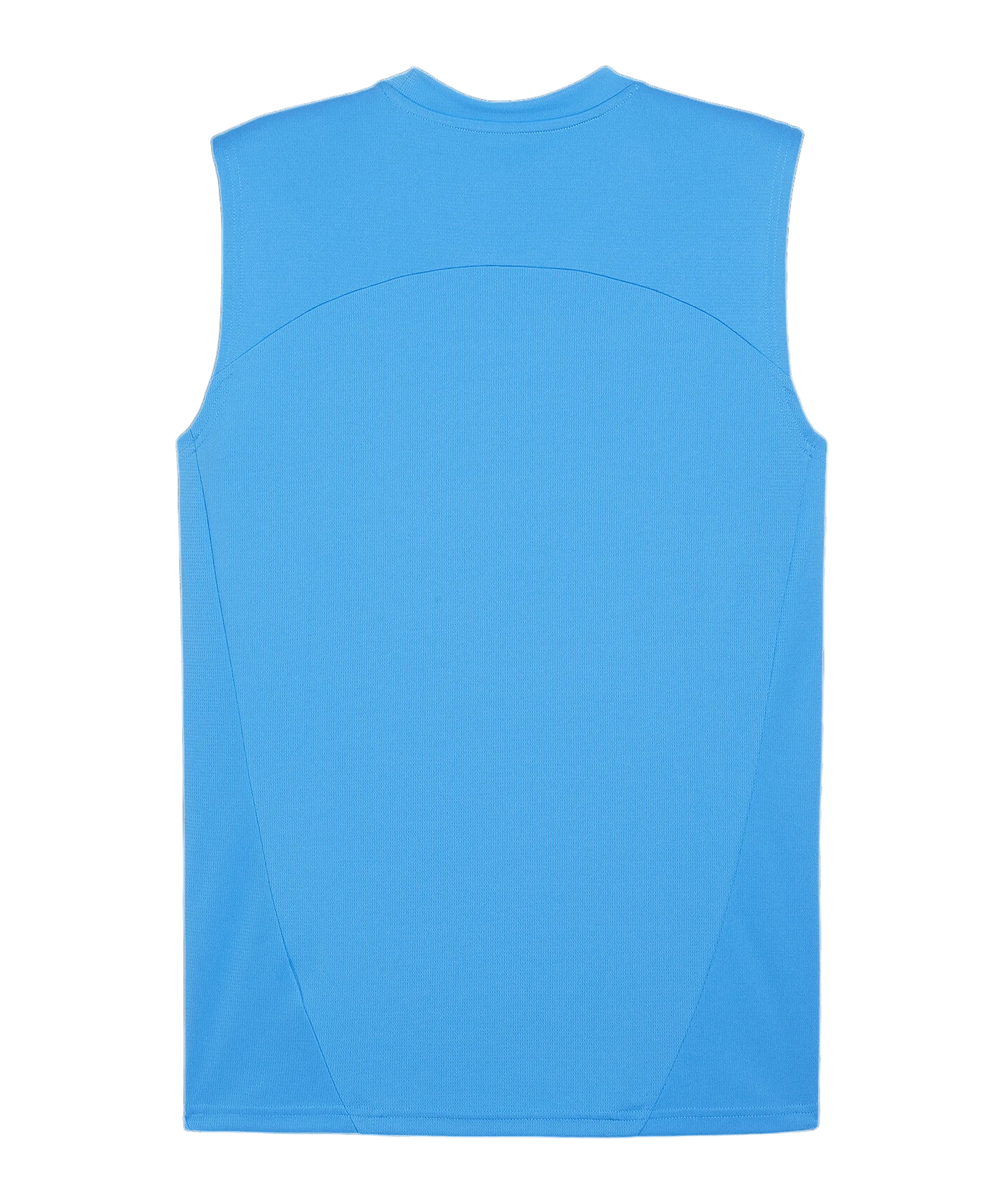 PUMA teamFINAL Tanktop Blau F02