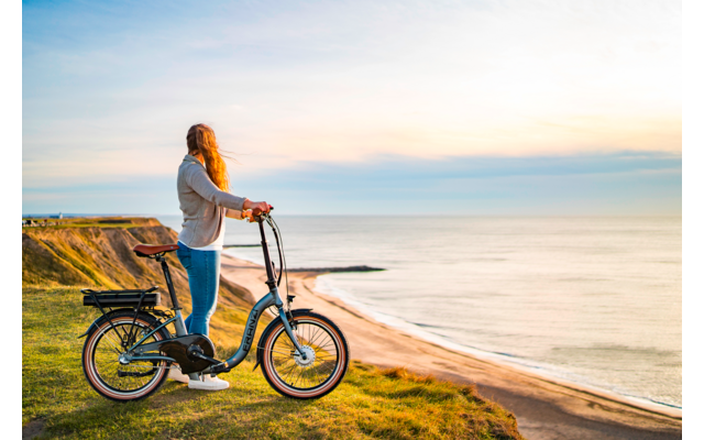 Blaupunkt Franzi faltbares E-Bike  20 Zoll 250W