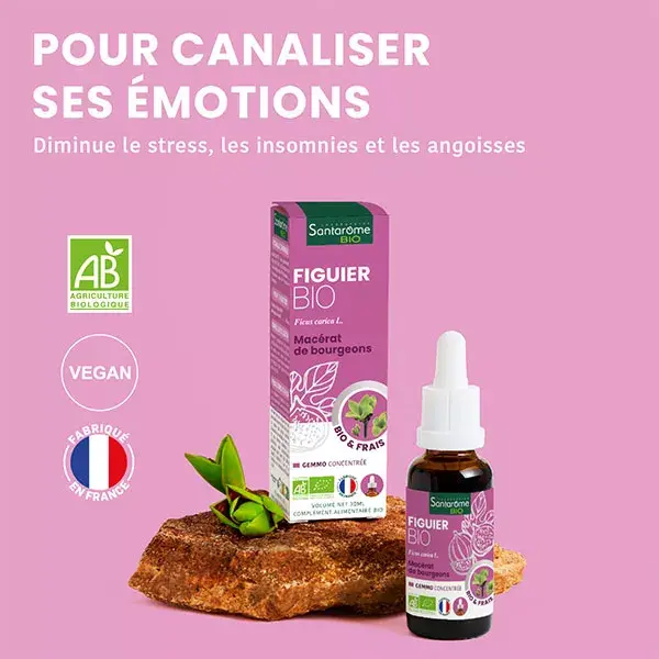 Santarome Bio - Bourgeon Figuier Bio - Gémmothérapie - Flacon de 30ml