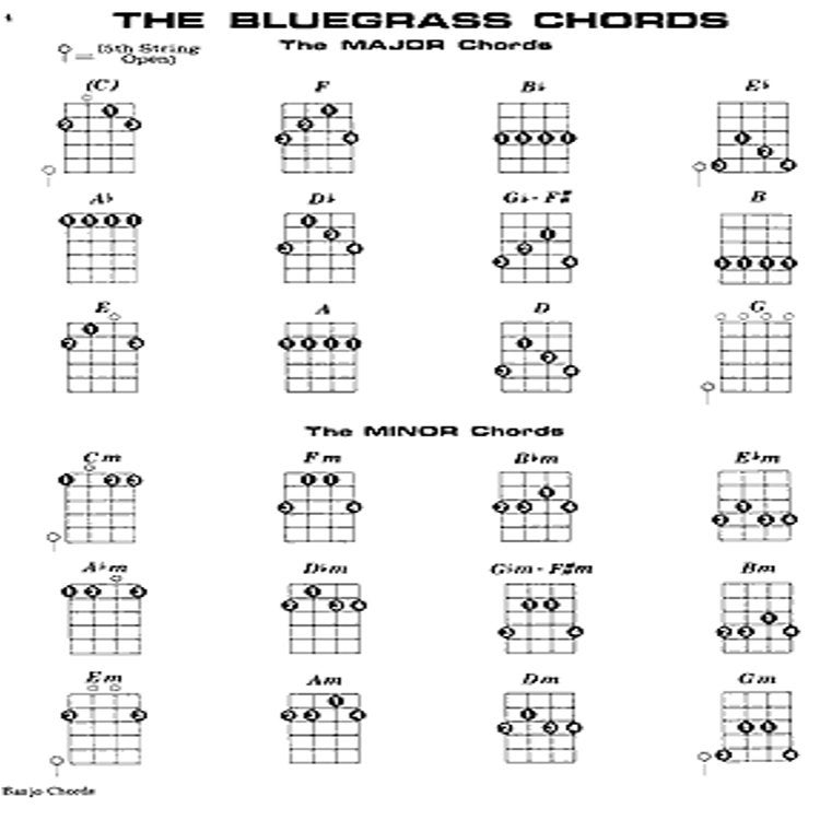 Mel Bay Banjo Chords boek