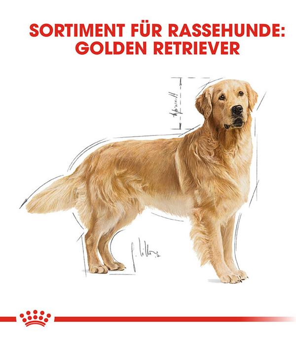 ROYAL CANIN® Trockenfutter für Hunde Golden