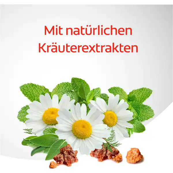 Kräuter Zahnpasta