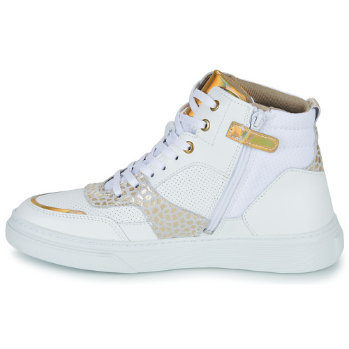 Bullboxer - AOP508 - Blanc