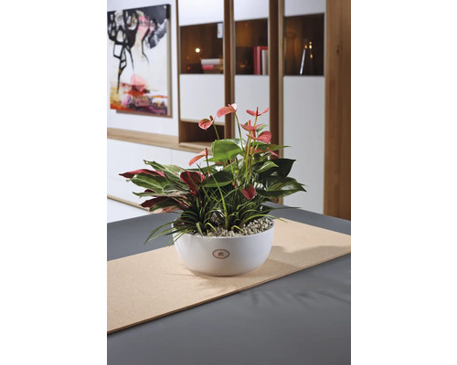 Soendgen Basel Full Color keramische kom, Ø 23 cm, H 10 cm, wit