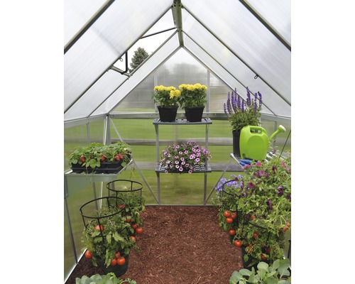 Palram Kas – Canopia Mythos 6x8 Dubbelwandige Polycarbonaat Panelen 4 mm 185x247 cm Aluminium