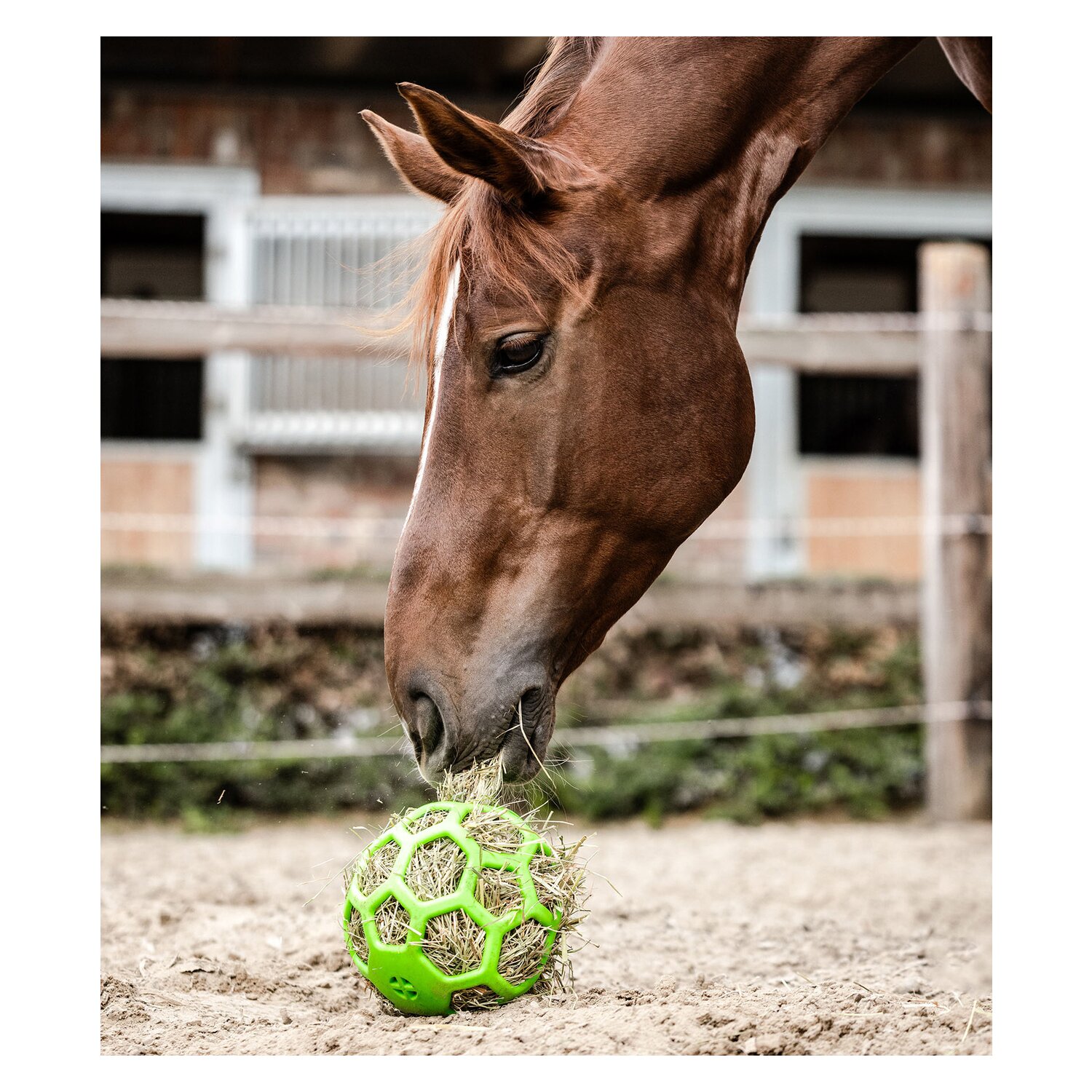 WALDHAUSEN Heuball  - grün - 22 cm