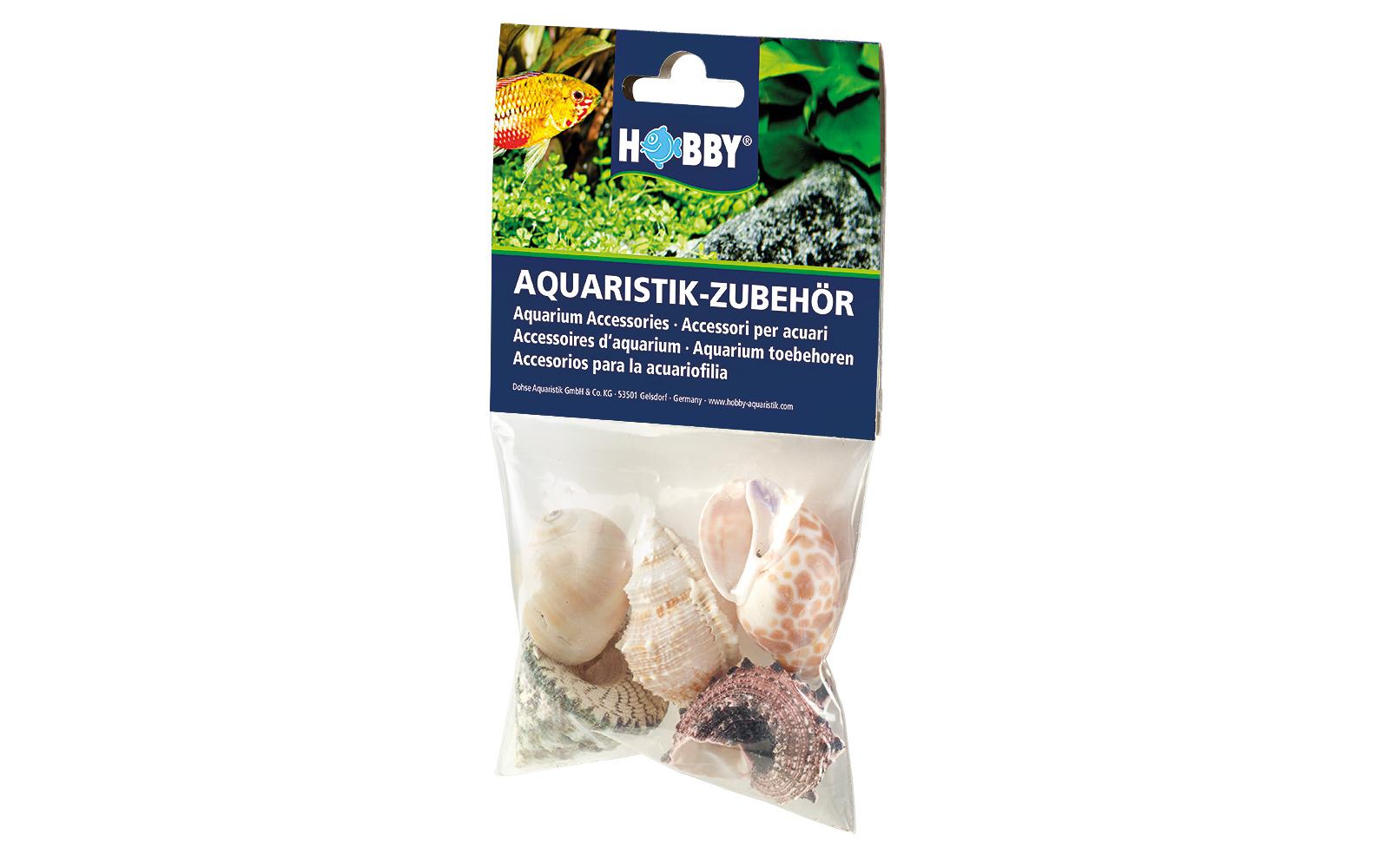Dekoration Sea Shells Set, L, 5 StückSchneckenhäuser zur natürlichen Dekoration