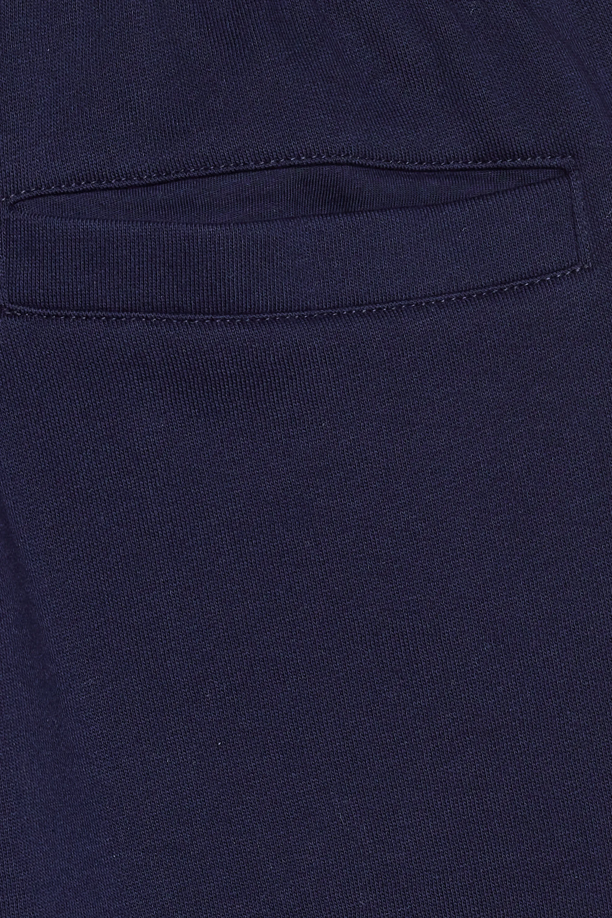 LACOSTE Short CORE LGF Bleu