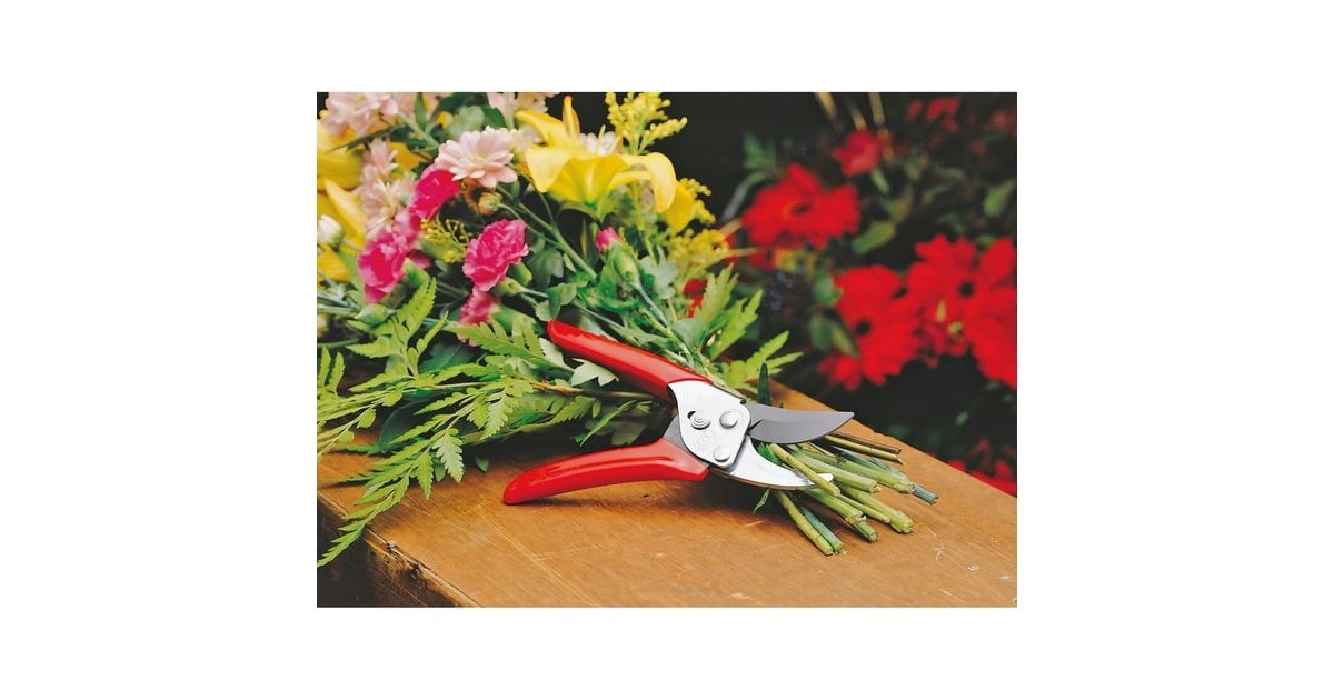 WOLF-GartenRR-EN Snoeischaar  (Rood)