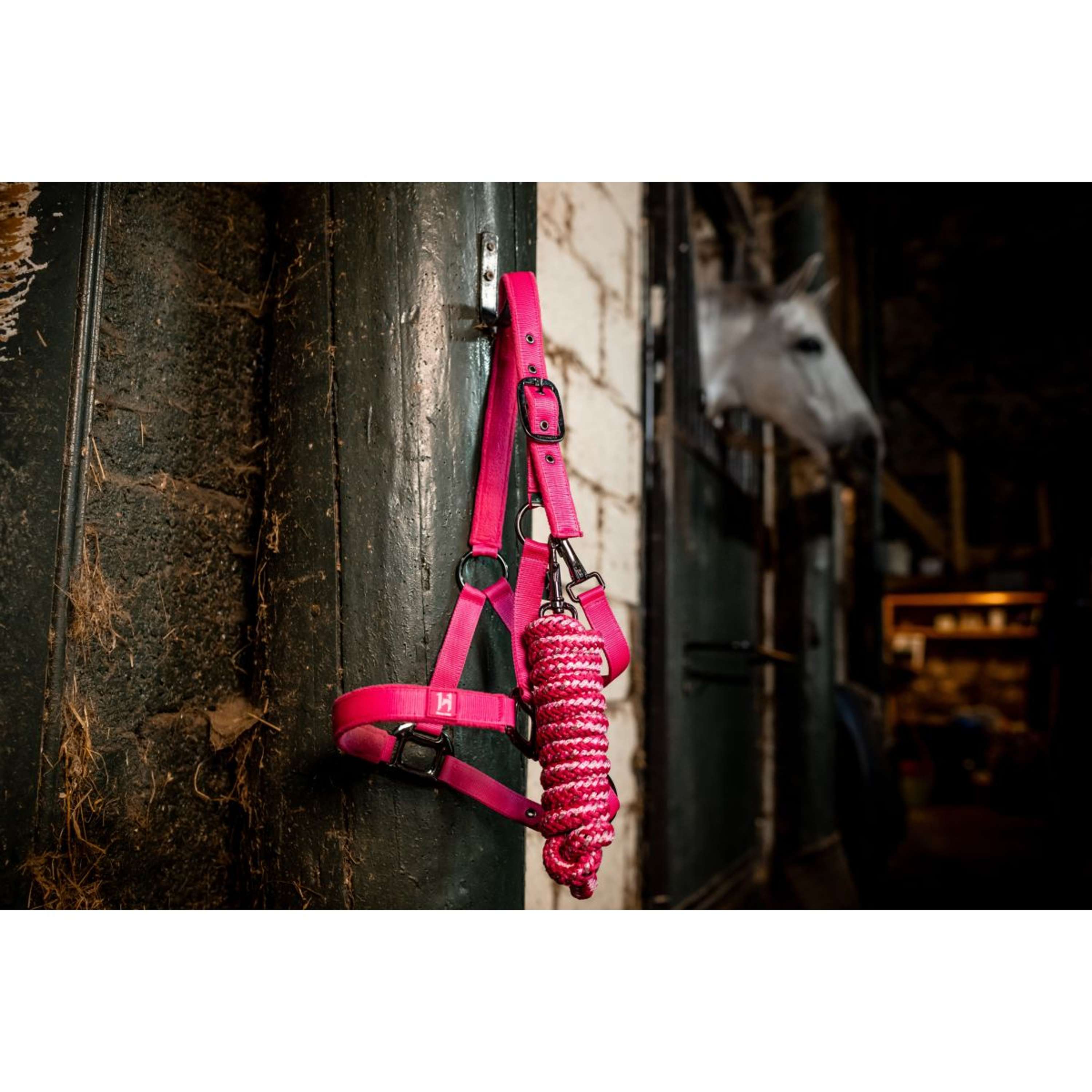 Amigo Halster & Touw Newmarket Witney Pink