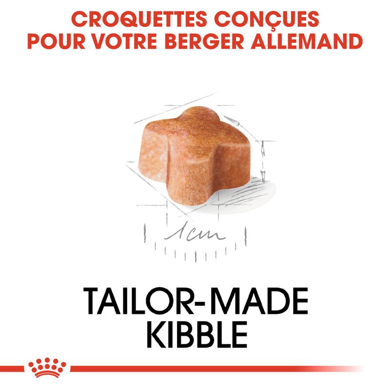 Royal Canin Berger Allemand Puppy sur bitiba.fr