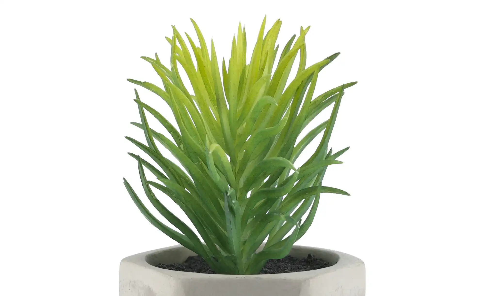 Kunstblume Sukkulente