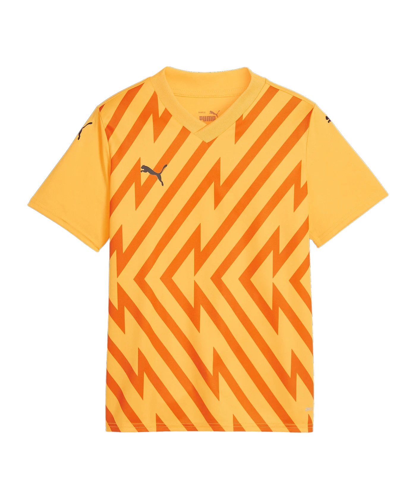 PUMA teamGLORY Trikot Kids Orange Schwarz F61