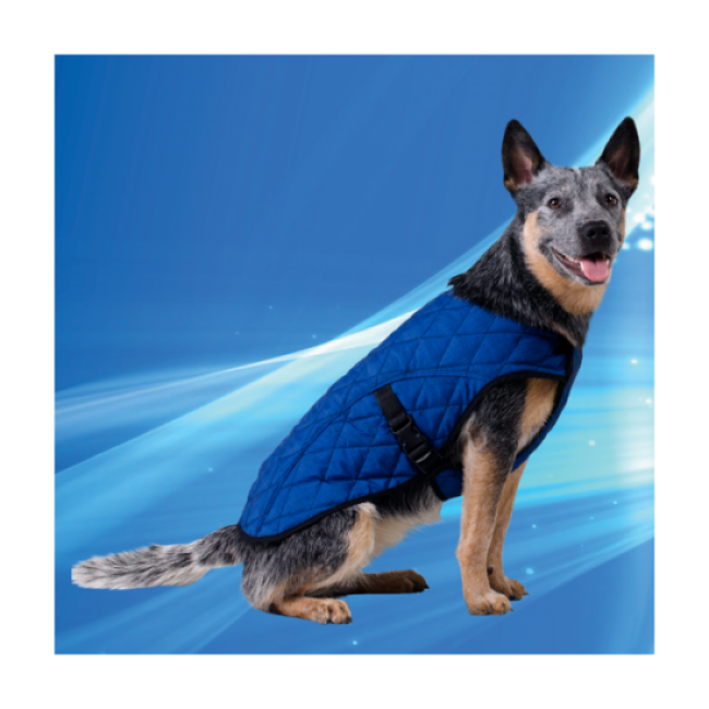Gilet bleu rafraîchissant Aqua Coolkeeper pour chien