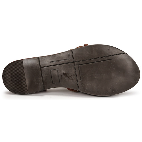 Fericelli - ONUOVO Camel