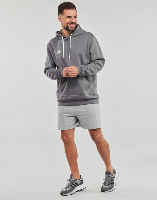 adidas Performance - ENT22 HOODY - Gris