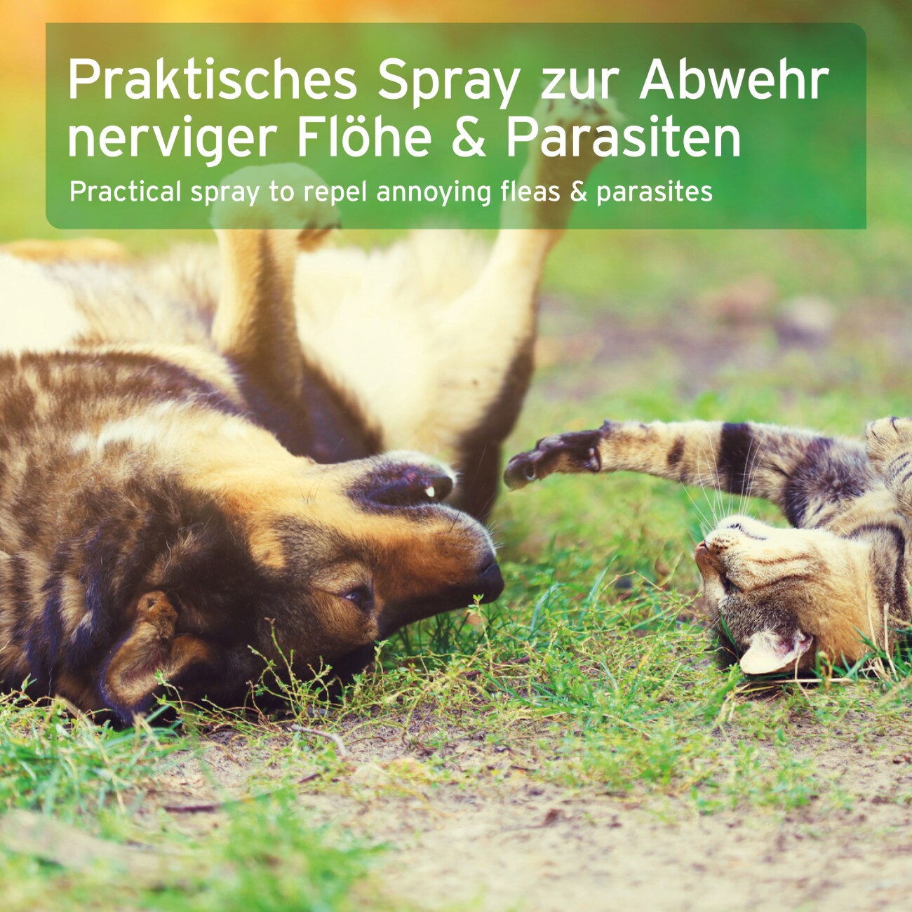 AniForte Floh Ex Spray 250 ml