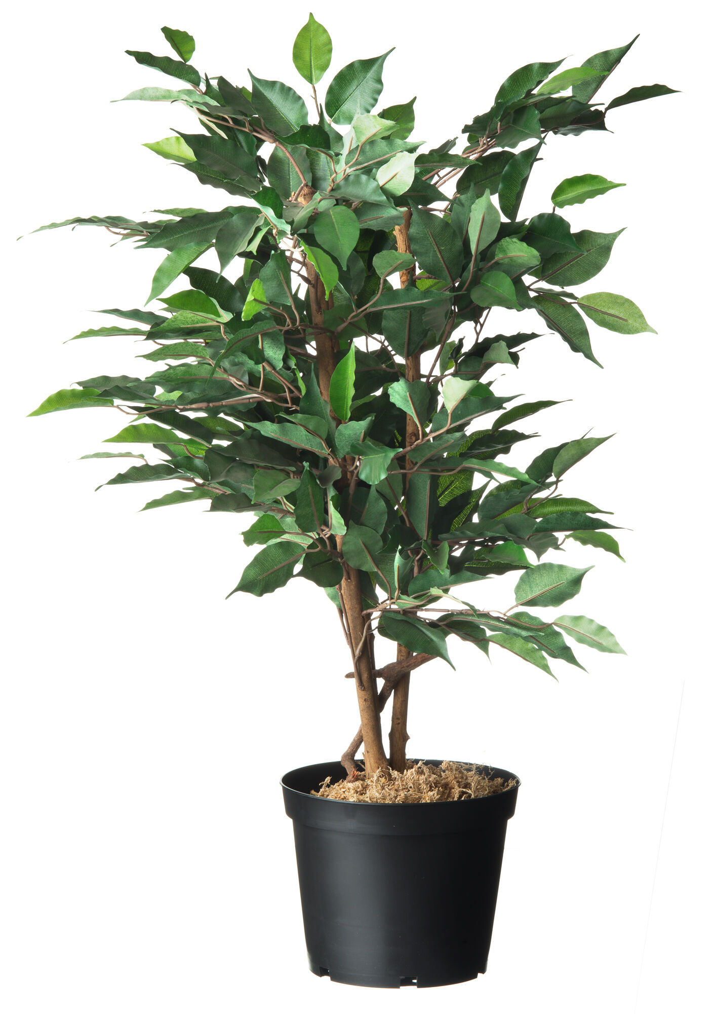Nature Plantcontainer - Kweekbenodigdheden - 17.5x19x17.5 cm